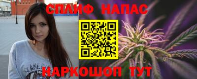 прущие крисы Моздок