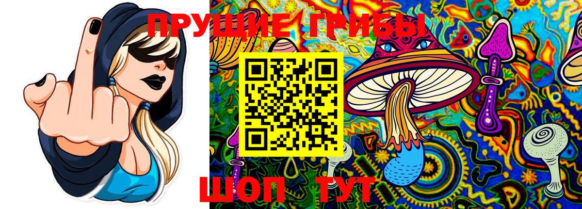Галлюциногенные грибы Cubensis Югорск